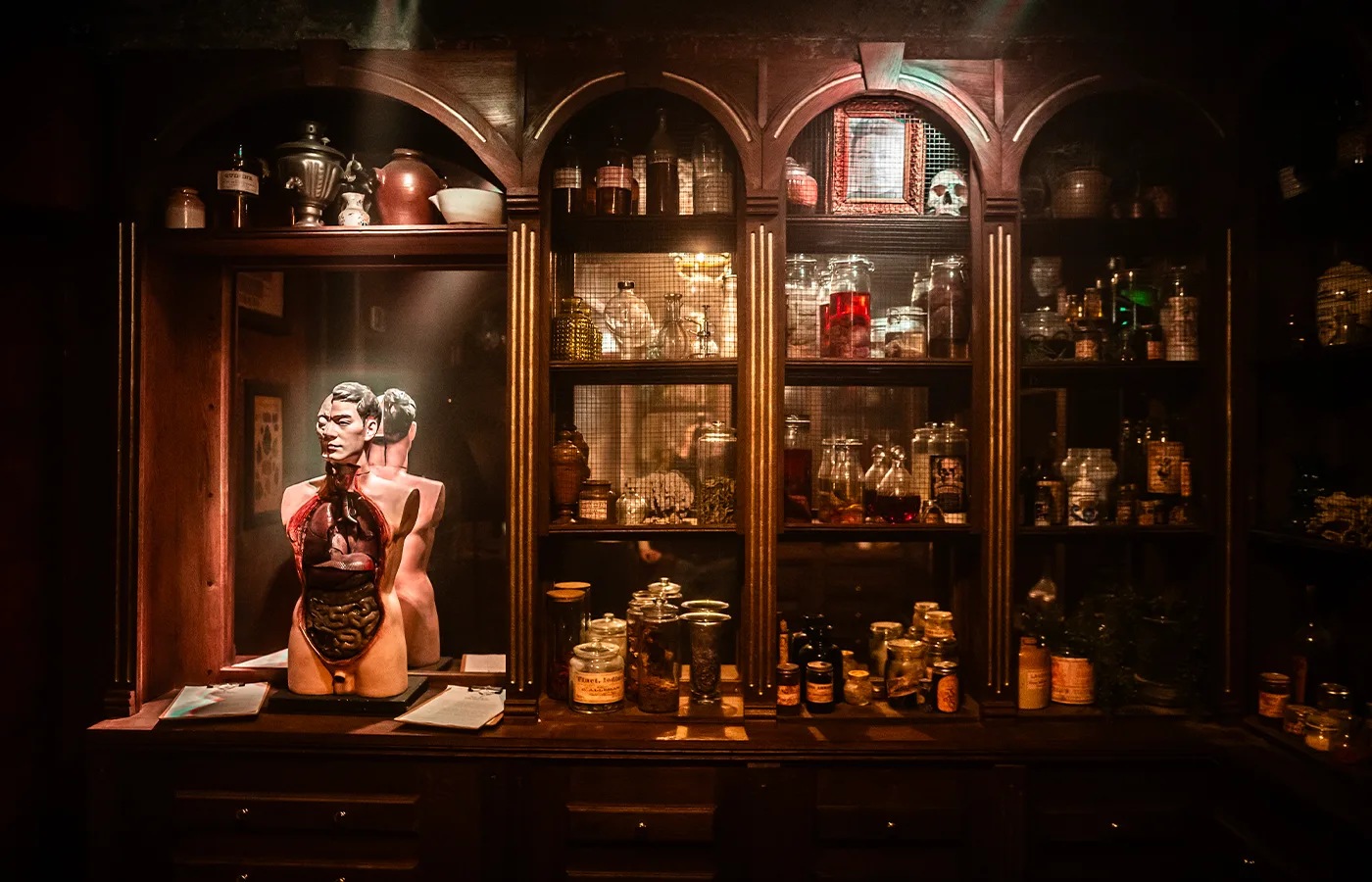 Cabinet de curiosités