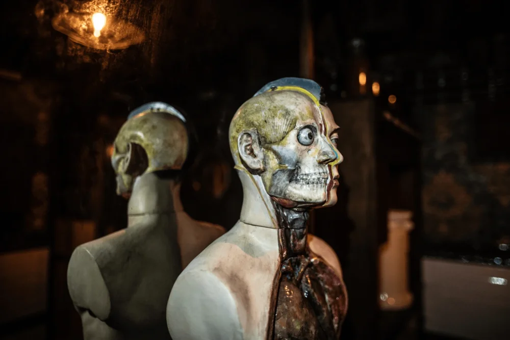 a disturbing anatomical model