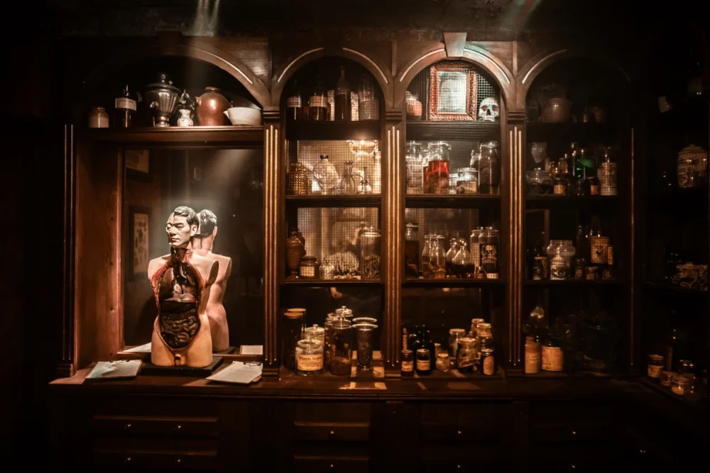 a beautiful oak pharmacy filled with jars and experiments