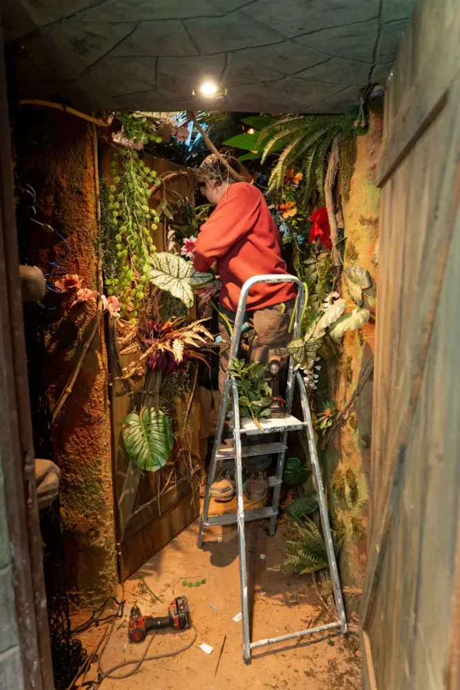Membre de l’équipe sur un escabeau, installant la végétation de la jungle pendant la construction